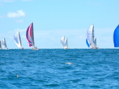 Gold Coast sailing Race Month: January 2016