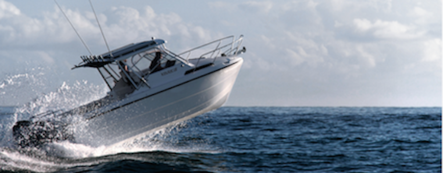 Wyld About Boats appointed as Kevlacat Dealer