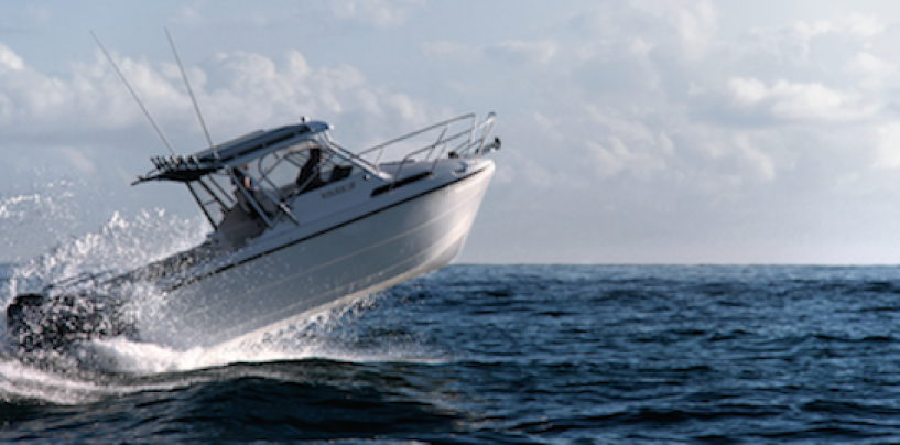 Wyld About Boats appointed as Kevlacat Dealer
