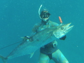 Spear Me The Details: Spearfishing on the Gold Coast