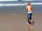 Beach fishing for big whiting