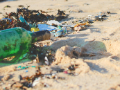Give a hoot, don’t pollute: Marine pollution laws in Queensland