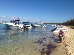 peel island boat gold coast 3