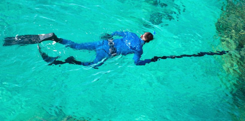 Spearfishing For Beginners