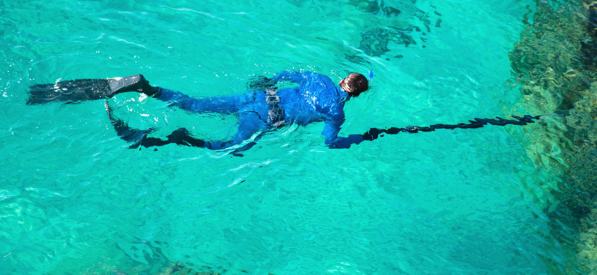 Spearfishing For Beginners