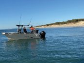 Fishing Beach Gutters – Paul Burt