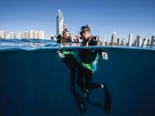 WONDER REEF – Gold Coast Dive Attraction