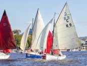 2024 Noosa Gaff Regatta – Light Winds Highlight Superior Design